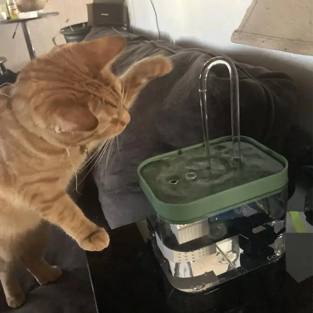 Automatic USB Pet Water Fountain, Silent Pets Drinking Water Dispenser for Cats Dogs Pets (Plug in USB Cable to Use)